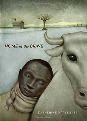 Cover of Home of the Brave Book Summary