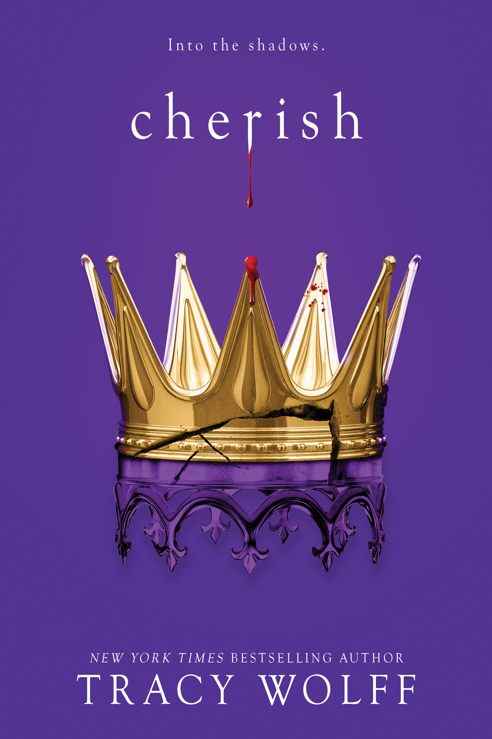 Cover of Cherish Book Summary