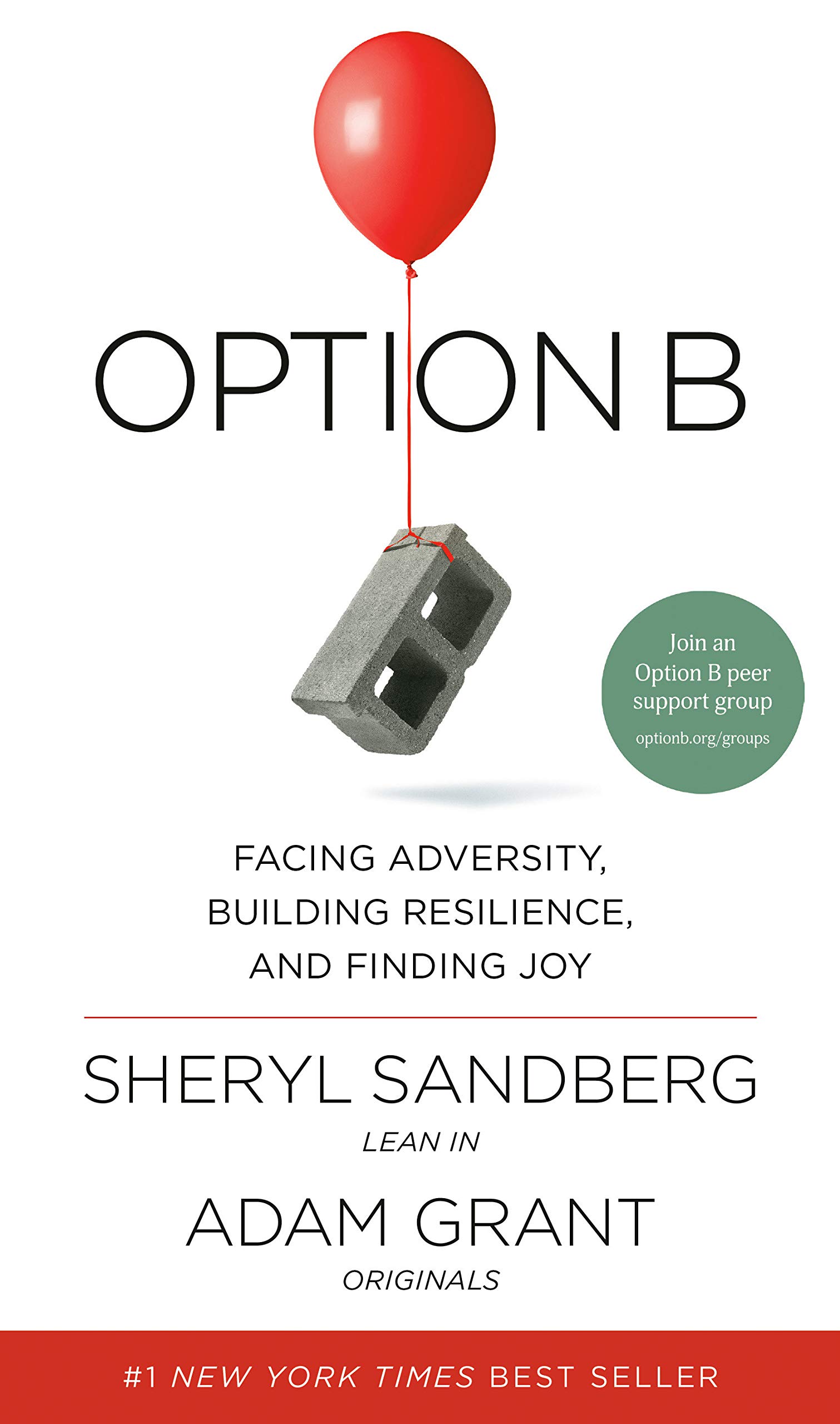 Cover of Option B Book Summary