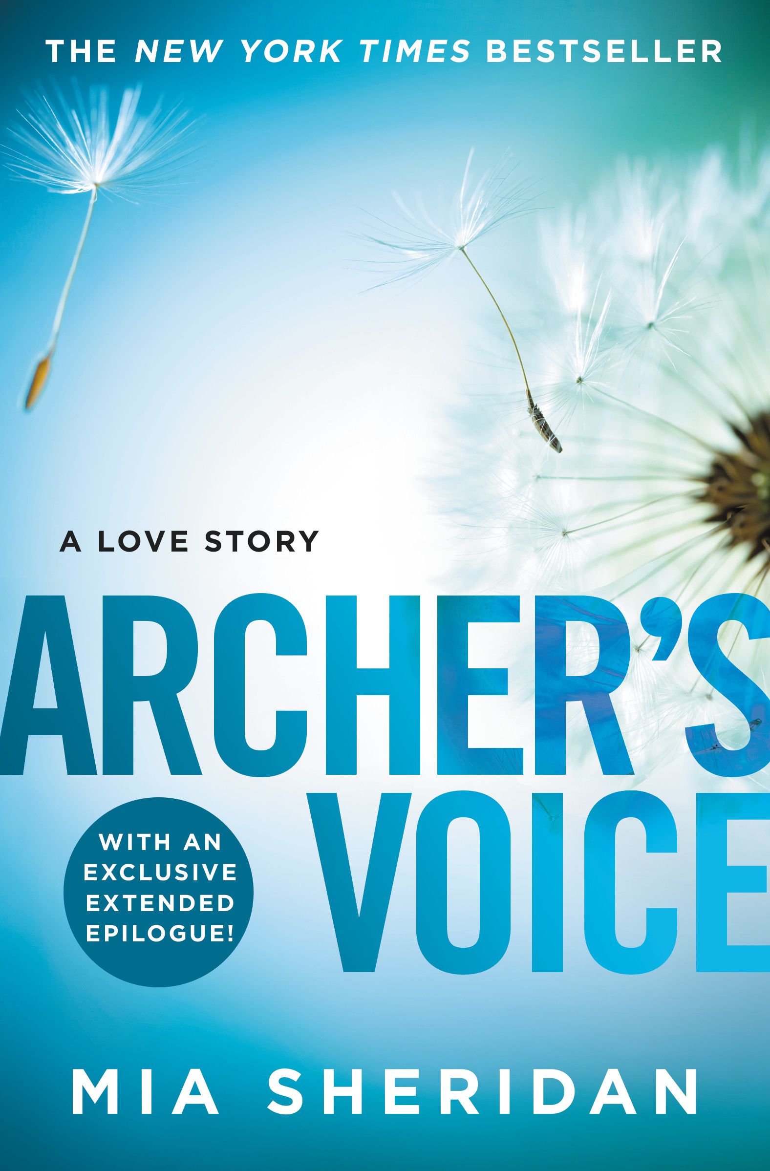 Cover of Archer's Voice Book Summary