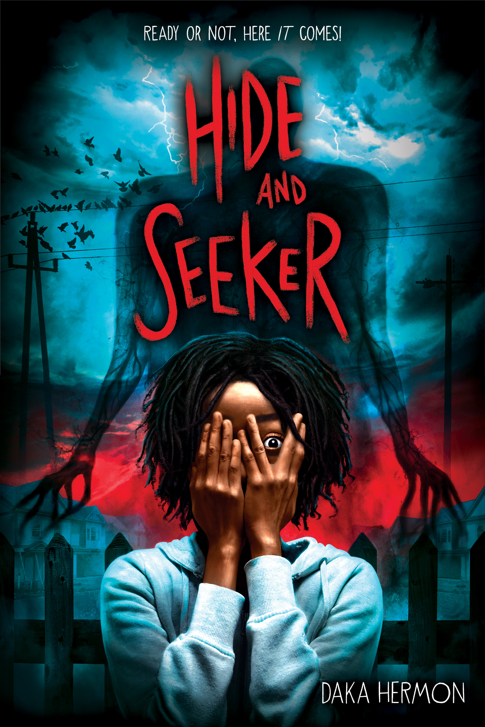 Cover of Hide and Seeker Book Summary