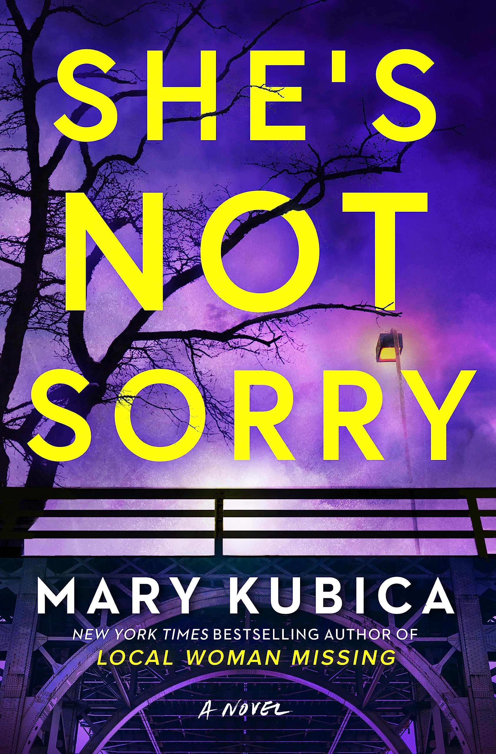 Cover of She's Not Sorry Book Summary