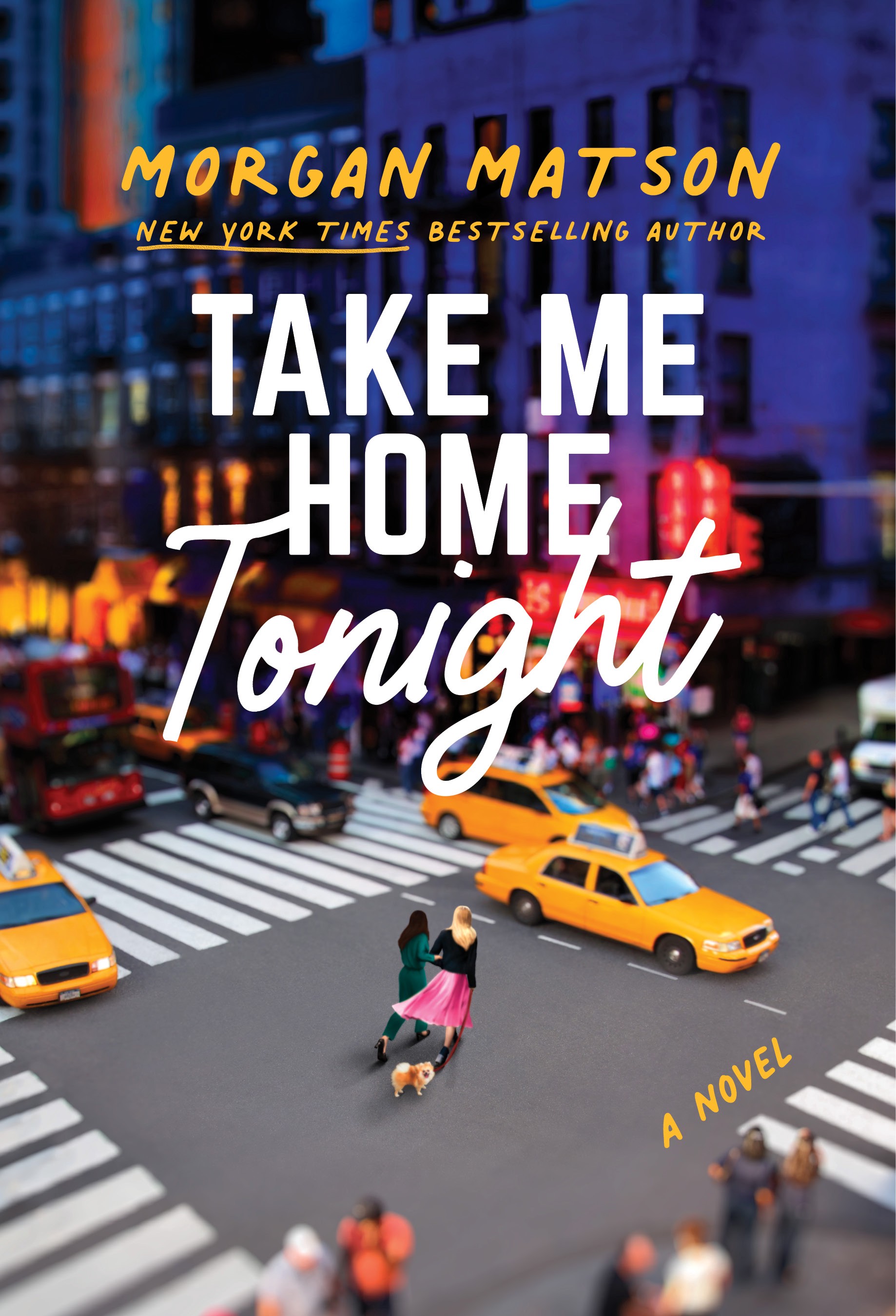 Cover of Take Me Home Tonight Book Summary