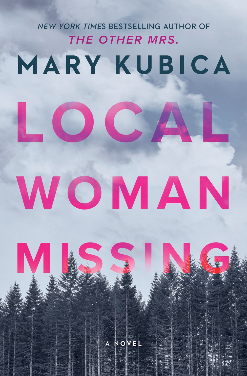 Cover of Local Woman Missing Book Summary