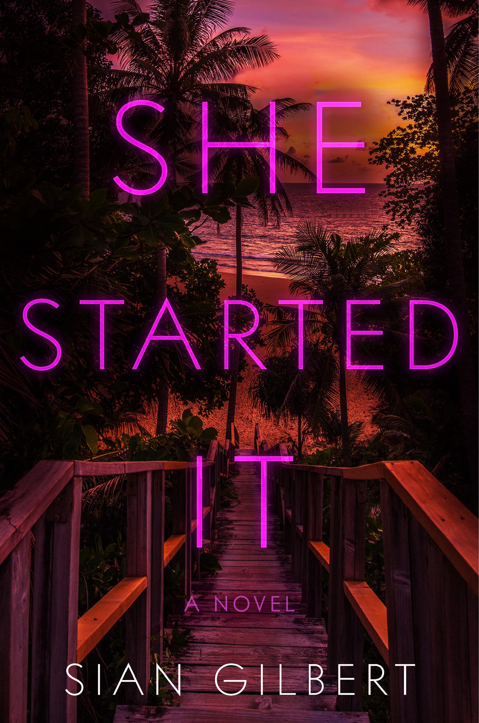 Cover of She Started It Book Summary