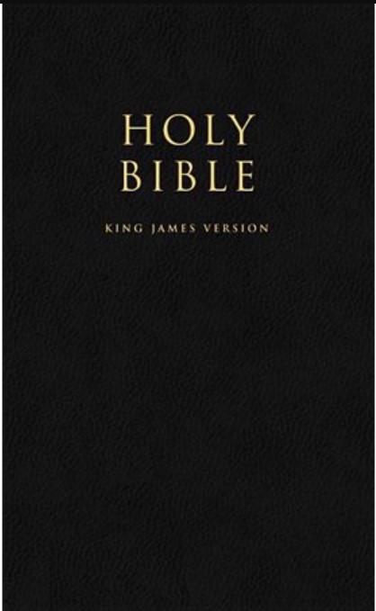 Cover of The Holy Bible Book Summary