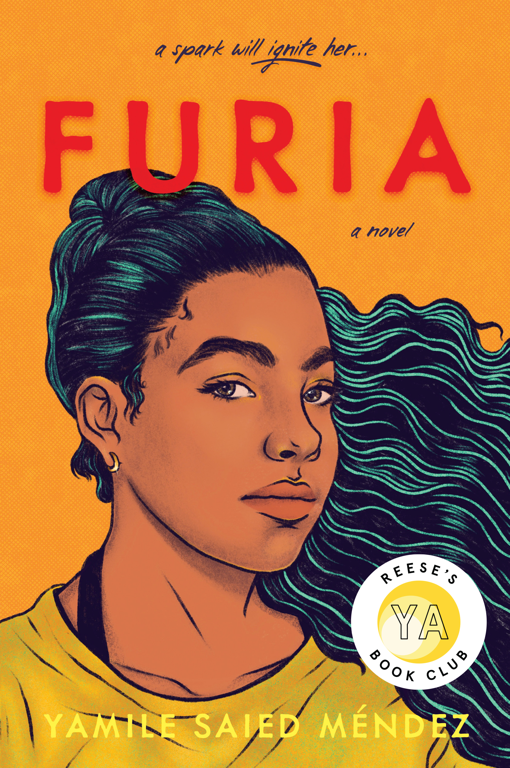 Cover of Furia Book Summary